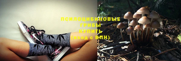 синтетический гашиш Алексеевка