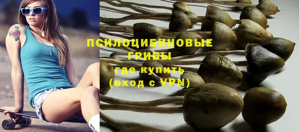 синтетический гашиш Алексеевка